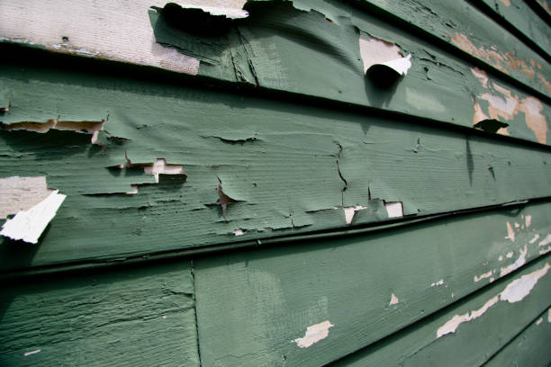 Reliable Excelsior Springs, MO Junk Removal Solutions